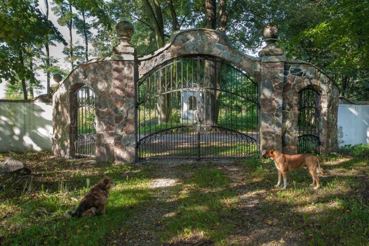 Gasthaus Dom Lowczego Gnoyna Park Radziejowice Exterior foto